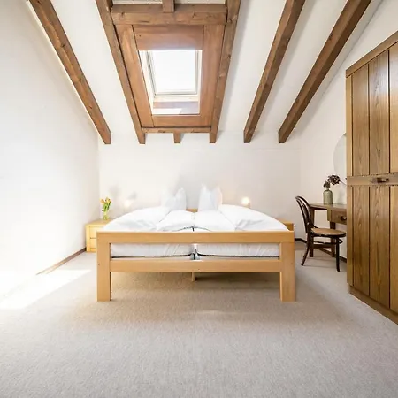 4402 Geraeumige, Zweckmaessig Eingerichtete Maisonette-wohnung Mit Mit Blick Auf Engiadina Вулпера